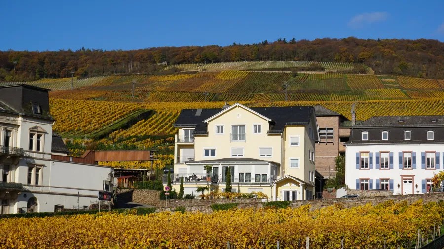 Ein Blick auf ein modernes Haus in der Weinregion, umgeben von bunten Weinbergen und sanften Hügeln unter einem blauen Himmel.