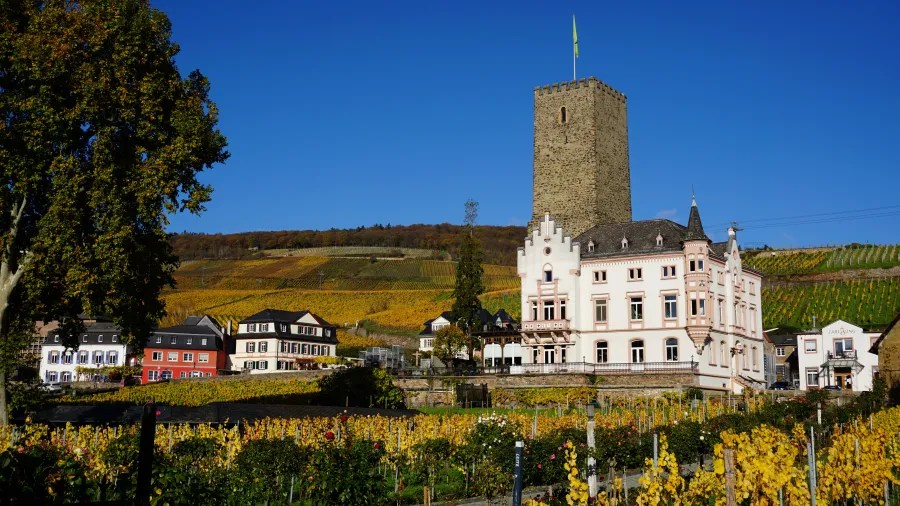 Panorama des Mittelrheintals mit einem historischen Turm und Weinbergen im Vordergrund, vor einem blauen Himmel.