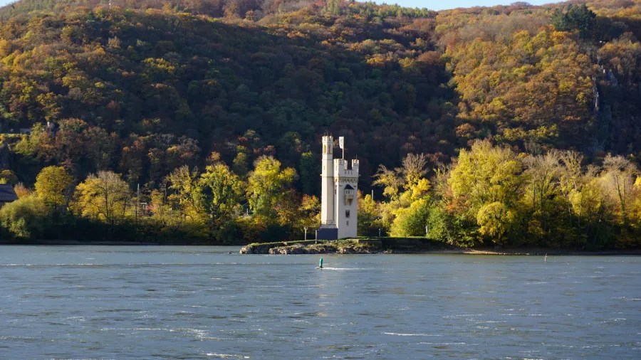 Blick auf einen historischen Turm am Ufer des Rheins, umgeben von buntem Herbstlaub und sanften Hügeln.