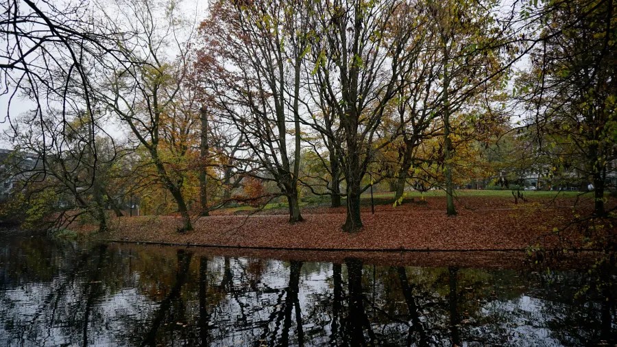 Herbstliche Landschaft mit Bäumen ohne Blätter und reflektierendem Wasser unter bewölktem Himmel.