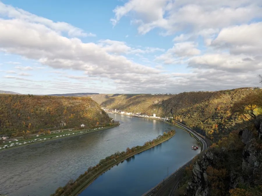 Panoramablick auf den Rhein und die umliegenden Hügel mit herbstlicher Laubfärbung und wolkigem Himmel.