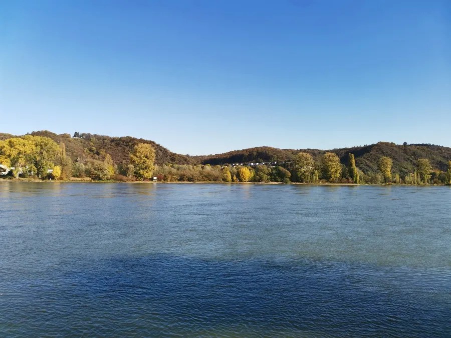 Panorama des Rheins mit herbstlich gefärbten Bäumen und Hügeln im Hintergrund unter klarem blauen Himmel.