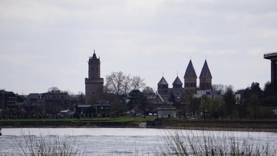 Blick auf die historische Skyline mit einem Turm und Gebäuden am Ufer des Rheins, umgeben von Bäumen und einer ruhigen Landschaft.