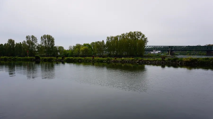 A calm river scene reflecting the surrounding trees and a bridge in the background under a cloudy sky.