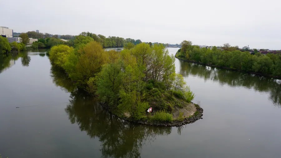 Luftaufnahme einer kleinen, bewaldeten Insel in einem ruhigen Fluss mit umgebenden Bäumen und einer grauen Himmelstimmung.