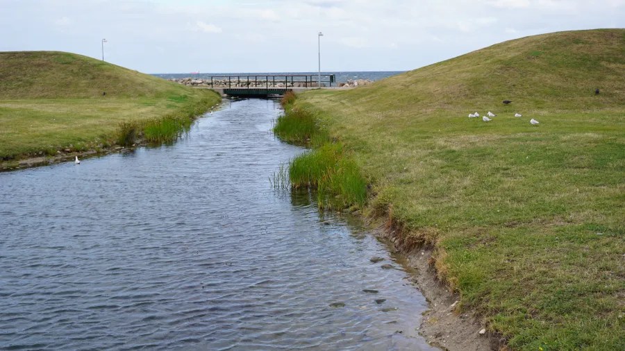 Ein kleiner Fluss fließt durch eine grüne Landschaft mit sanften Hügeln. Im Hintergrund ist eine Holzbrücke sichtbar, während einige Vögel am Ufer stehen.
