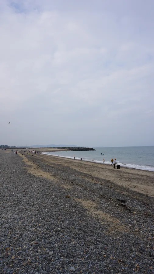 Blick auf einen Kiesstrand in Bray, Irland, mit Menschen, die am Wasser spazieren und spielen, unter einem bewölkten Himmel.