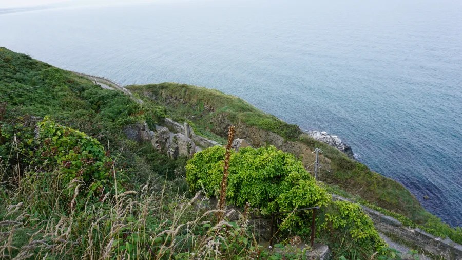 Blick auf eine steile Küstenlandschaft mit üppigem Grün und einem Blick auf das ruhige Wasser des Atlantiks.