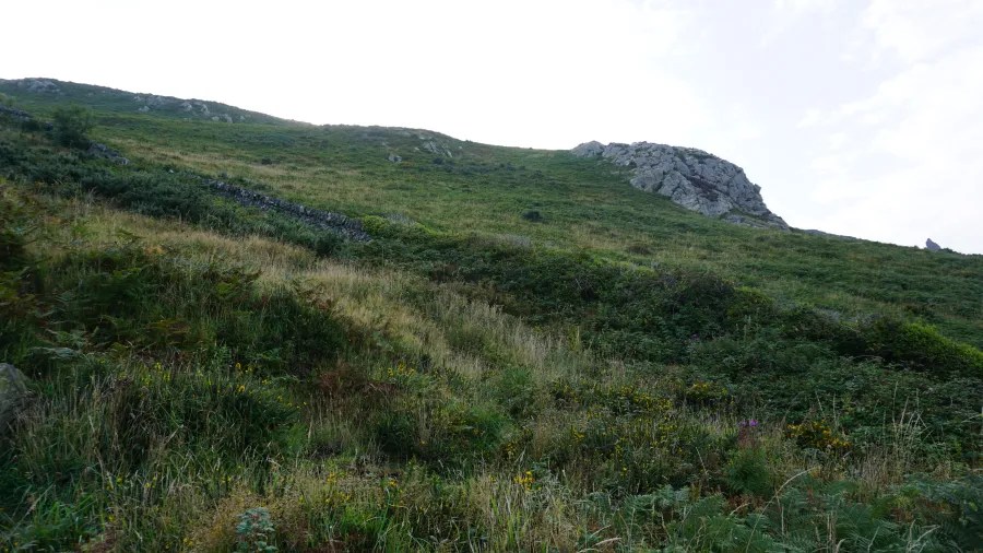 Grüne Hänge mit hohem Gras und Steinen unter einem hellen Himmel auf einem Hügel.