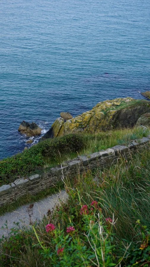 A path leading down to rocky shores with waves gently lapping against the rocks, surrounded by lush green grass and blooming flowers.