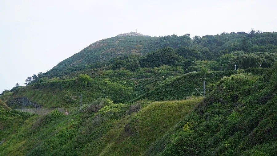 Blick auf einen bewachsenen Hügel mit dichtem Grün, umgeben von sanften Hängen und einem wolkigen Himmel.
