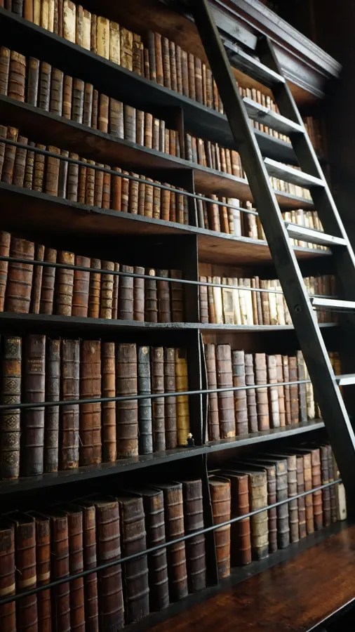 Eine alte Bibliothek mit hohen Regalen, die mit antiken, ledergebundenen Büchern gefüllt sind. Eine Holzleiter steht an der Wand, um die oberen Regale zu erreichen.