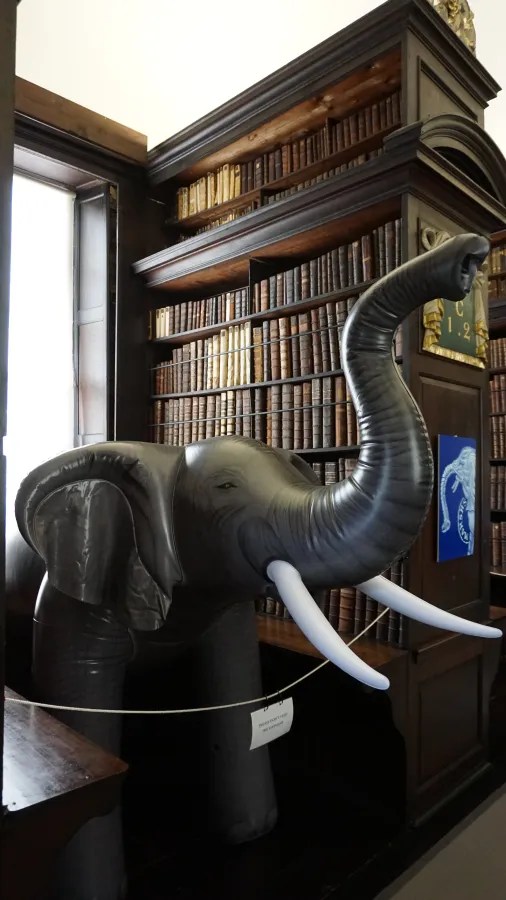 Ein aufgeblasenes Elefantenspielzeug steht vor einer Bücherwand in einer historischen Bibliothek.