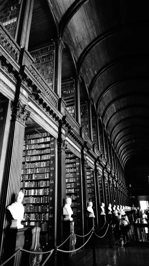 Ein Blick in die Long Room Bibliothek des Trinity College in Dublin, mit hohen Holzregalen und weißen Büsten entlang der Wände.