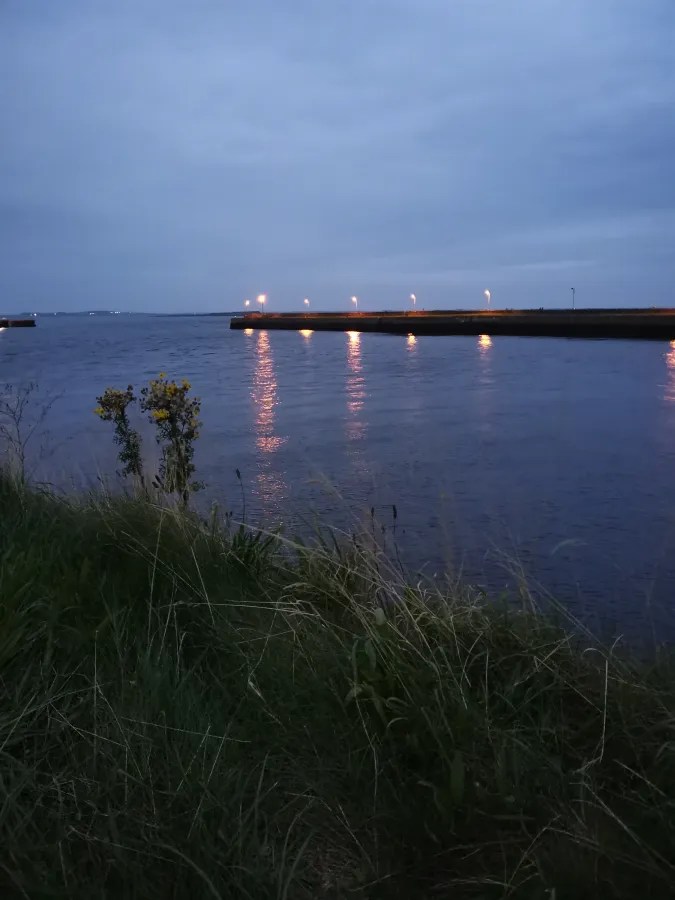 Ein ruhiger Abendblick auf das Wasser mit sanften Wellen und Laternen, die auf dem Wasser reflektieren, umgeben von Gräsern und Pflanzen.