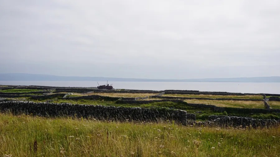 Blick über die grüne Landschaft von Inis Oírr mit steinernen Terrassen und einem alten Schiff im Hintergrund, umgeben von einem stillen, nebligen Meer.