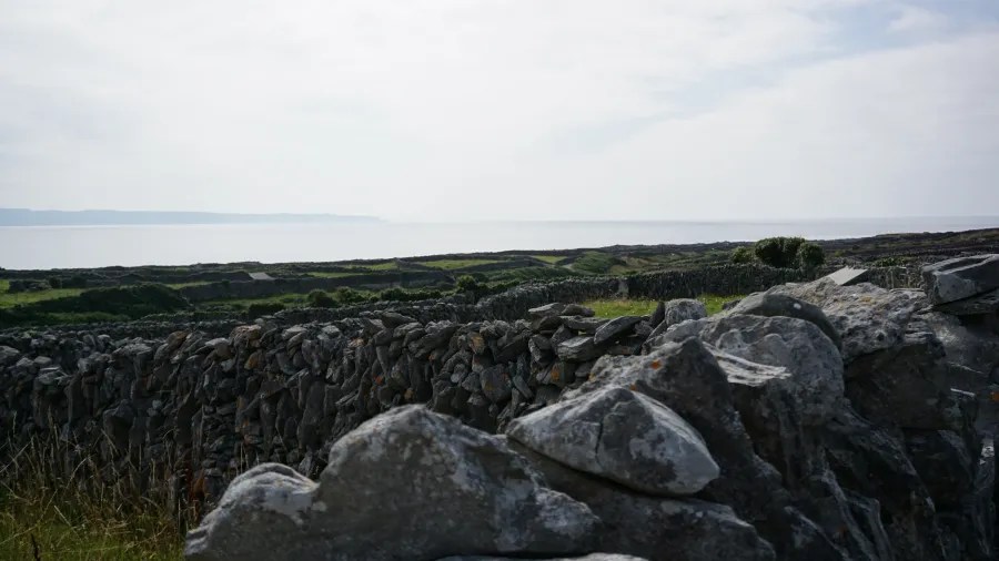 Blick auf die grüne Landschaft von Inis Oírr, mit alten Steinmauern und dem ruhigen Meer im Hintergrund unter einem bewölkten Himmel.