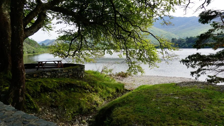 Ruhige Landschaft an einem See in Connemara, umgeben von grünen Bäumen und sanften Hügeln, mit einer Sitzbank aus Holz im Vordergrund.