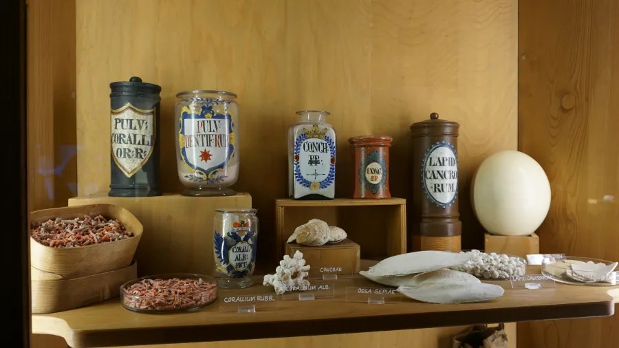 Ein Regal mit verschiedenen historischen Arzneimittelbehältern und Naturprodukten im Deutschen Apothekermuseum in Heidelberg, darunter Korallen, Muscheln und ein großer runder Behälter.