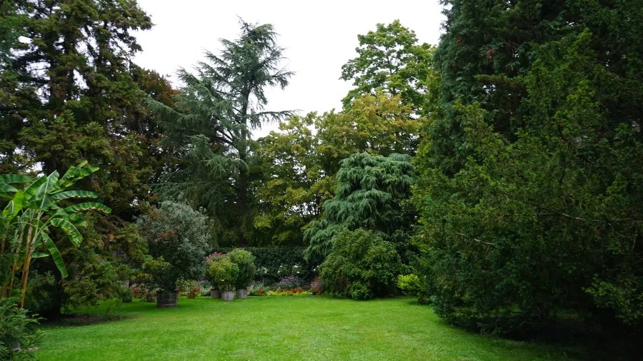 A lush green garden area with various trees and plants, featuring a well-maintained lawn and flower beds in the background.