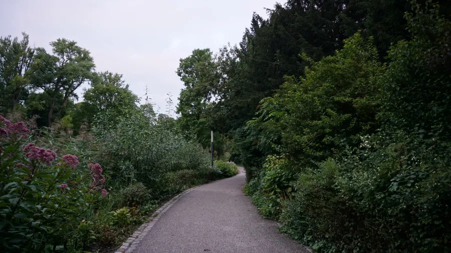 Ein schmaler Weg durch einen grünen Park, gesäumt von Büschen und Bäumen, in der Dämmerung.