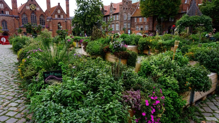Ein gepflegter Urban Gardening Bereich mit verschiedenen Pflanzen und Blumen in Holzkisten, im Hintergrund sind historische Gebäude zu sehen.