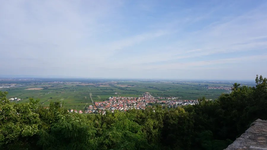 Panoramaansicht über das hügelige Umland von Neustadt an der Weinstraße, mit Weinbergen und einem klaren blauen Himmel.