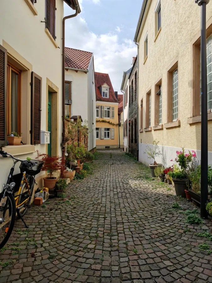 Ein schmaler, gepflasterter Weg zwischen mehreren Häusern mit Blumen und Pflanzen in Töpfen.