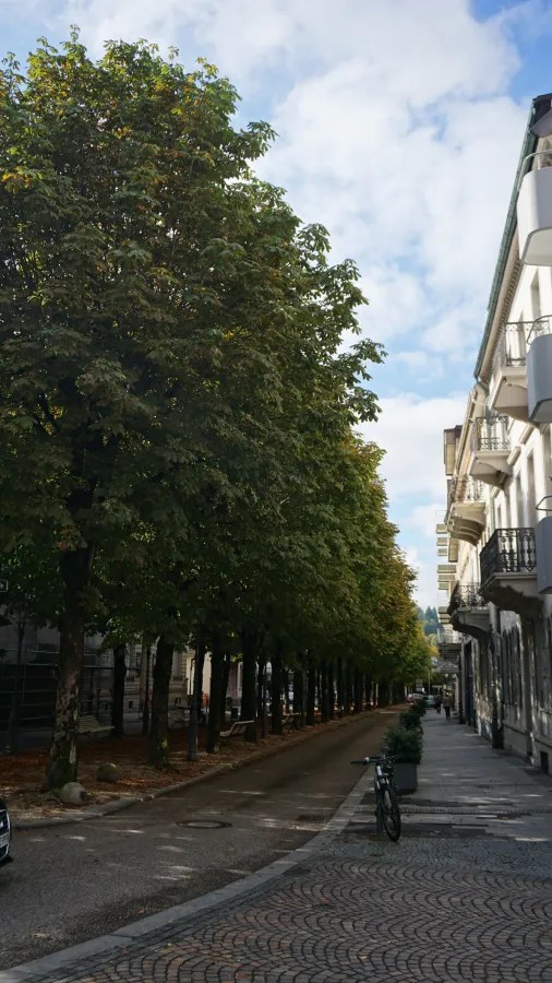 Eine malerische Straße in Baden-Baden, gesäumt von Bäumen und historischen Gebäuden. Entlang des Gehwegs sind Fahrradständer und ein Parkbereich sichtbar.