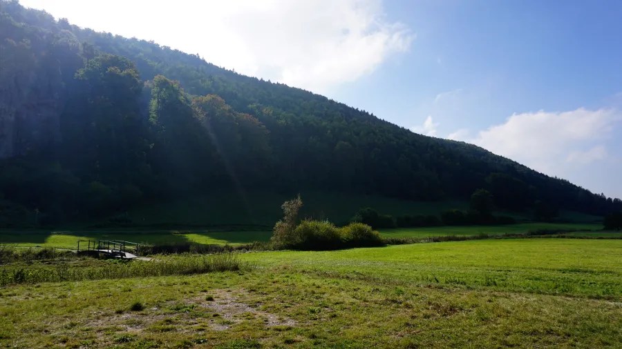 Blick auf eine malerische Landschaft im Schwarzwald mit sanften Hügeln und einem klaren Himmel.