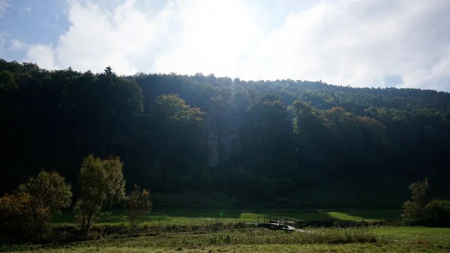 Eine sonnige Aussicht auf einen bewaldeten Hang mit grünen Wiesen im Vordergrund und vereinzelten Bäumen, die das Landschaftsbild prägen.