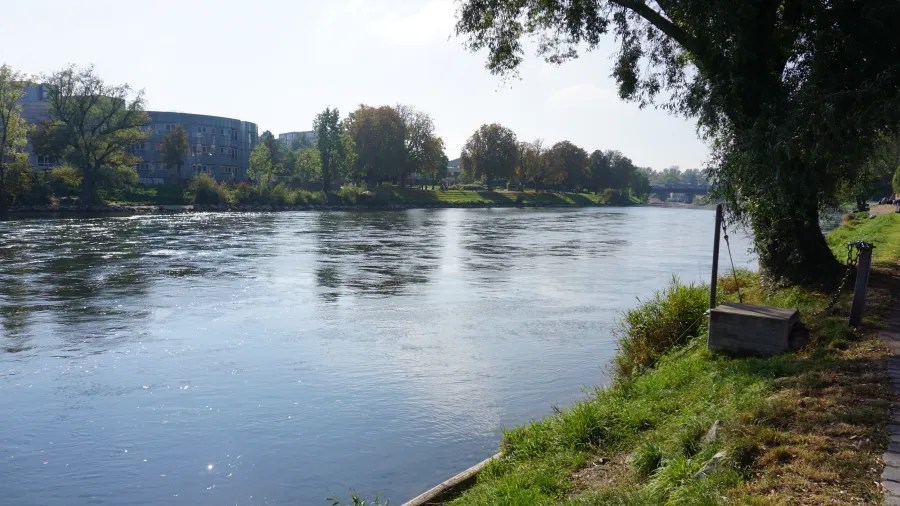 Blick auf einen ruhigen Fluss mit umliegenden Bäumen und Wohngebäuden im Hintergrund, unter strahlend blauem Himmel.