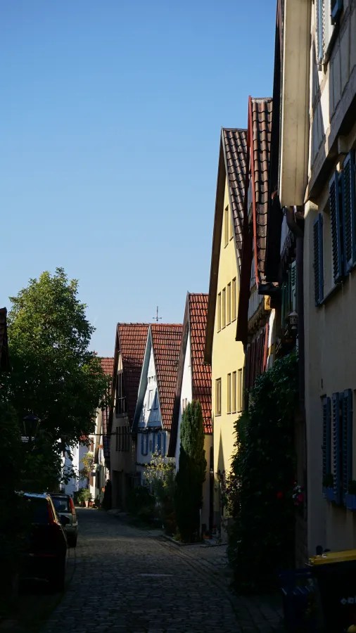 A quaint street view in a historic town, featuring a row of charming houses with sloping roofs and colorful facades, under a clear blue sky.