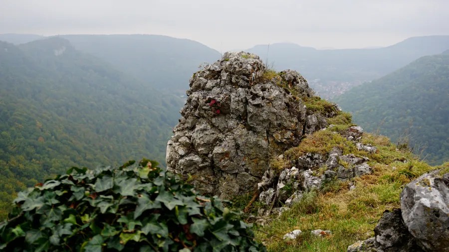 Blick auf eine felsige Erhebung mit grüner Vegetation und einem nebligen Tal im Hintergrund.