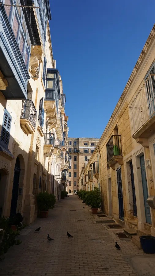 Eine enge maltesische Gasse mit sandsteinfarbenen Gebäuden und blauen Fensterläden, unter einem klaren blauen Himmel, während einige Tauben auf dem Boden stehen.