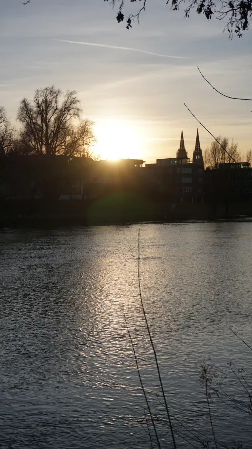 Sonnenuntergang am Ufer der Donau mit silhouettierten Gebäuden und Bäumen im Hintergrund.