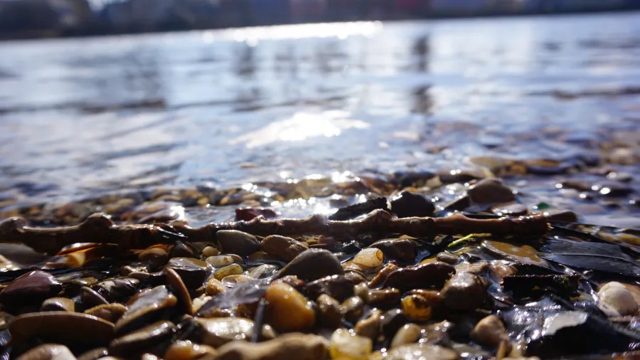 Nahaufnahme von glatten Steinen und kleinen Ästen am Ufer eines Flusses, mit reflektierendem Wasser im Hintergrund.
