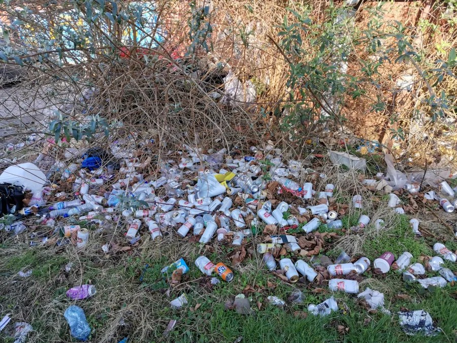 Ein verwildertes Gebiet voller Müll, darunter leere Dosen, Plastikflaschen und Abfall, umgeben von Gestrüpp.