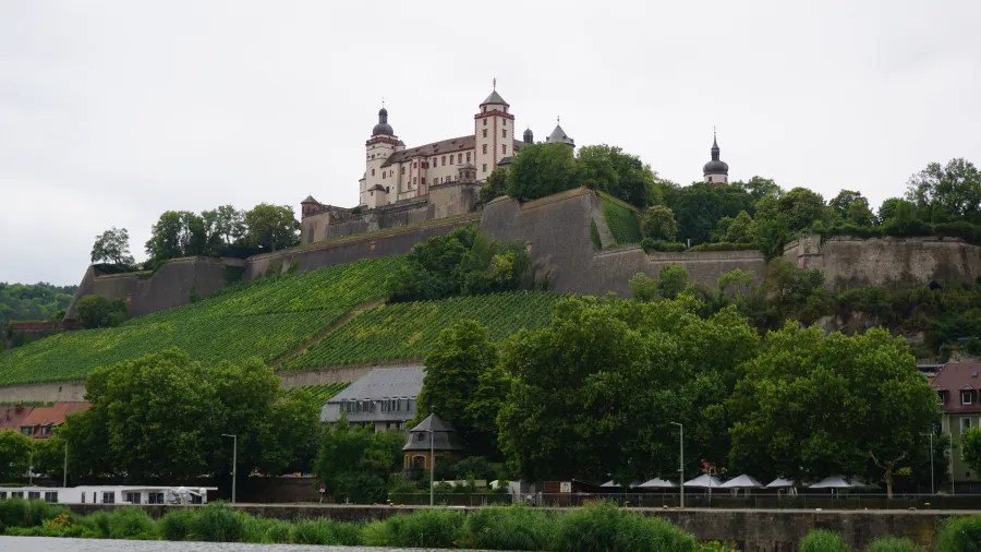 Blick auf eine historische Burg, umgeben von Weinbergen und Bäumen, unter einem bewölkten Himmel.