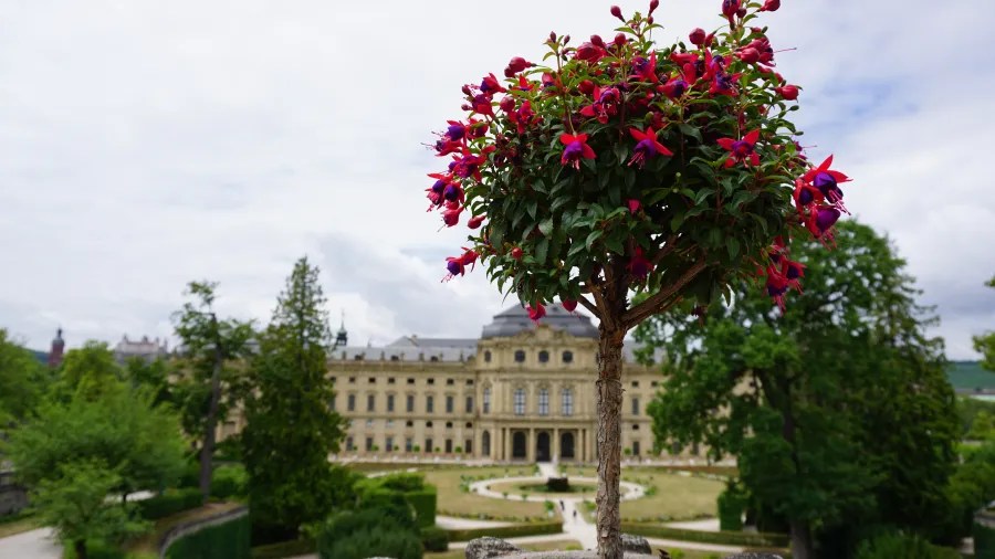 Ein Topfbaum mit bunten Blumen im Vordergrund, vor einem historischen Gebäude mit Gartenlandschaft im Hintergrund.