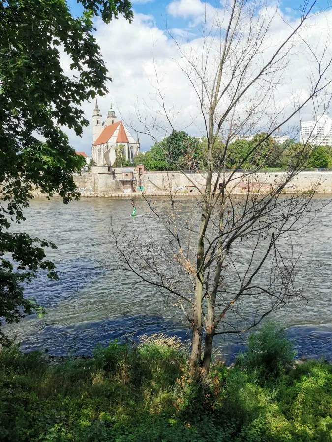 Blick auf eine Kirche mit zwei Türmen, umgeben von Bäumen und einer fließenden Wasserstraße, im Hintergrund sind Wolken sichtbar.