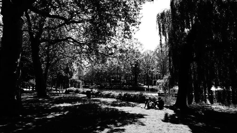Schwarz-weißes Bild eines Parks mit großen Bäumen und einer Wiese. Eine Gruppe von Menschen sitzt im Gras am Ufer eines Gewässers.