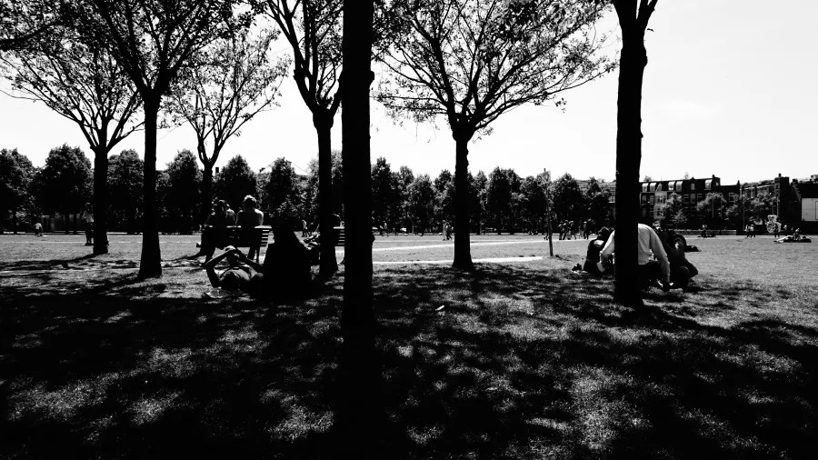Schwarz-Weiß-Bild eines Parks mit mehreren Bäumen und Menschen, die im Schatten sitzen und sich entspannen.