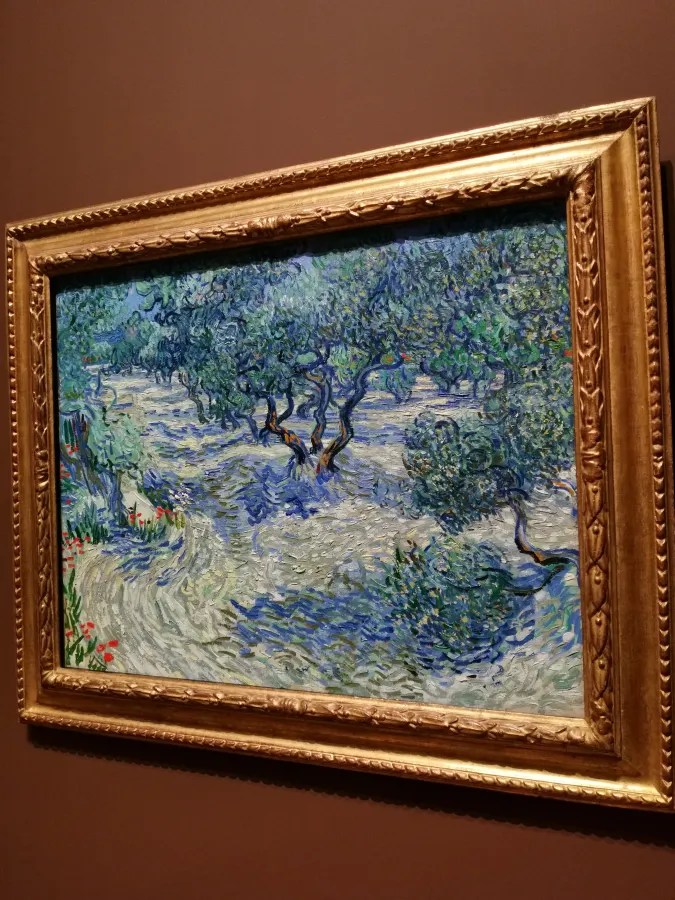 Ölgemälde von Olivenbäumen mit lebendigen Farben, Rahmen in Gold. Die Landschaft zeigt sanfte Wellen und eine vielfältige Farbpalette.