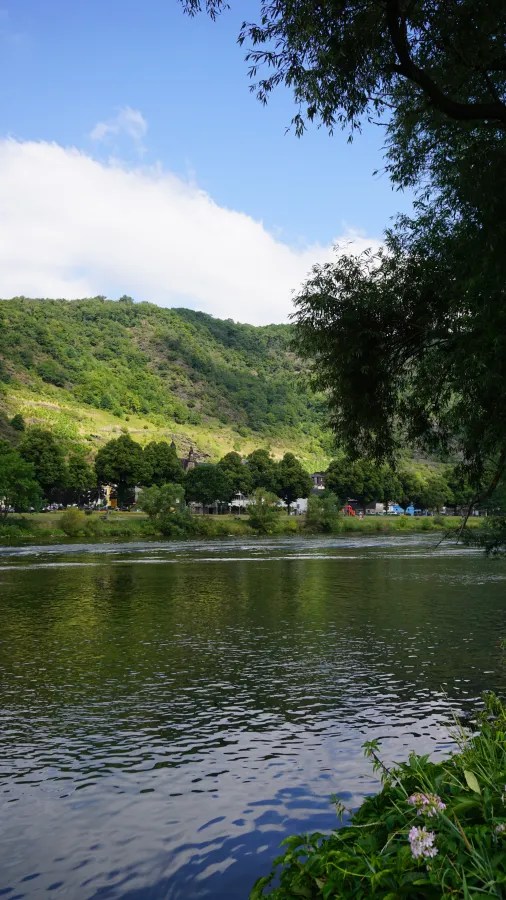 Blick auf einen ruhigen Fluss mit grünen Hügeln im Hintergrund und Bäumen entlang des Ufers.