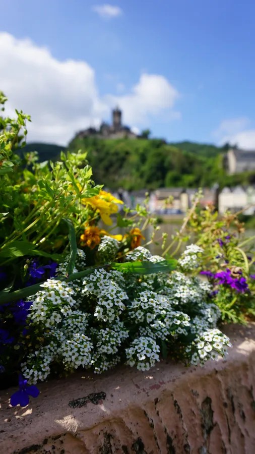 Blick auf bunte Blumen mit einer Burg im Hintergrund unter blauem Himmel.
