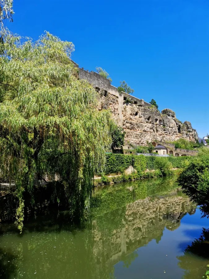 Eine alte Burgruine entlang eines ruhigen Teiches, umgeben von Bäumen und grünem Uferbewuchs, unter einem klaren blauen Himmel.