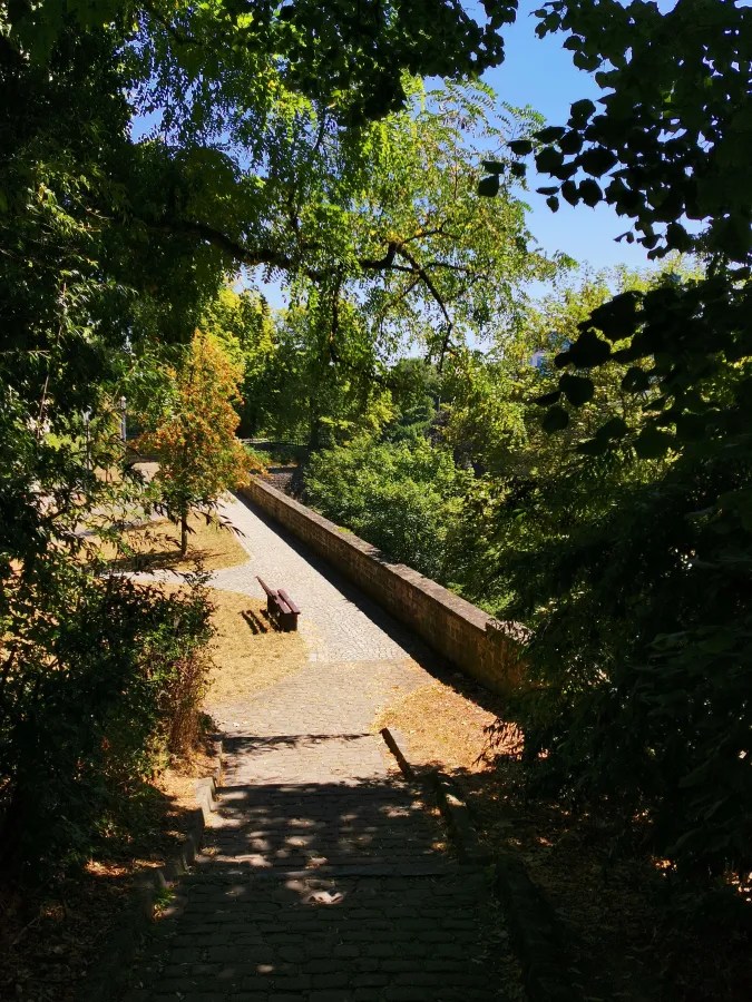 Ein ruhiger Weg, der von Bäumen gesäumt ist, mit einem gepflasterten Verlauf und einer Holzbank im Hintergrund, unter blauem Himmel.
