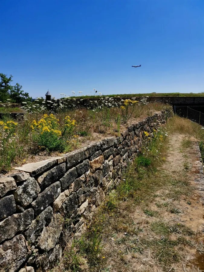 Ein Weg entlang einer Steinmauer, umgeben von wildem Gras und gelben Blumen, unter einem klaren blauen Himmel mit einem fliegenden Flugzeug im Hintergrund.