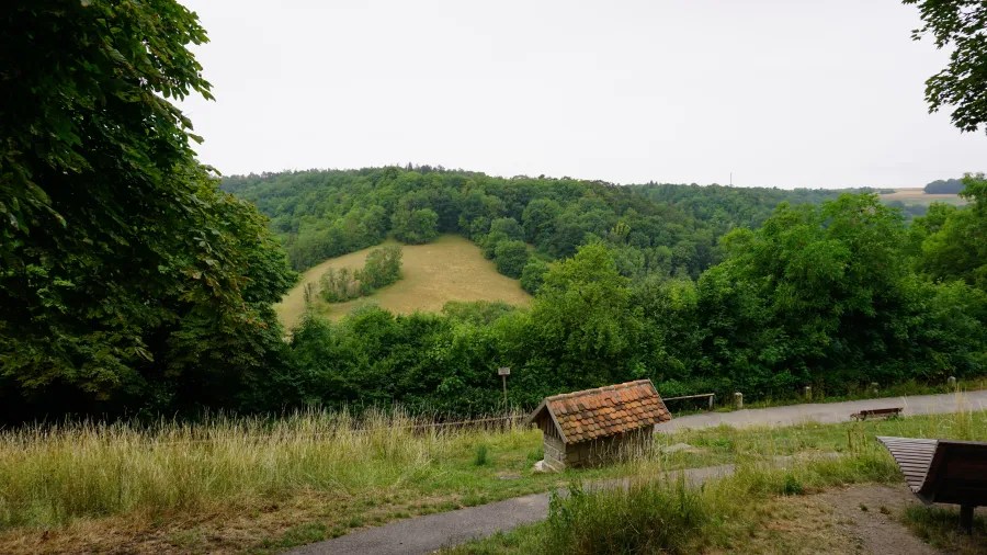 Ausblick über eine hügelige Landschaft mit Bäumen und Wiesen, umgeben von grünem Bewuchs.